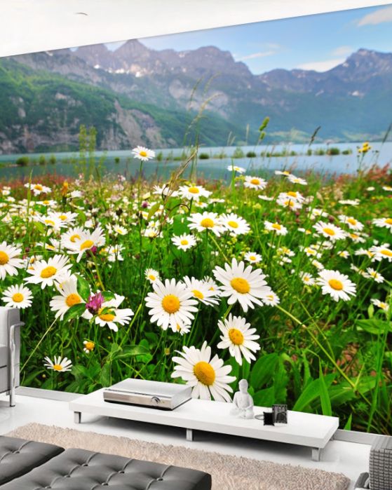 margherite di Carta da parati