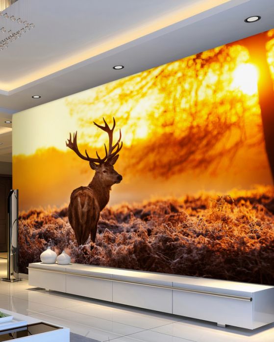 Carta da parati Cervo