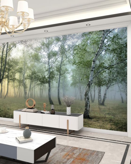 Carta da parati Betulle